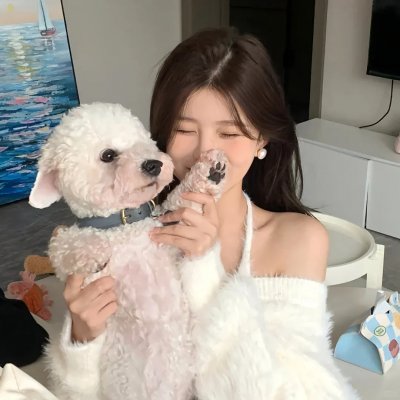 沉睡的森林 海报